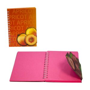notyaz-kirtasiye-meyve-kokulu-spiralli-notebook-1